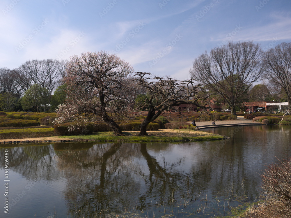park park
