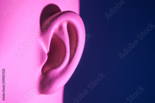 An ear. Parts of the human ...