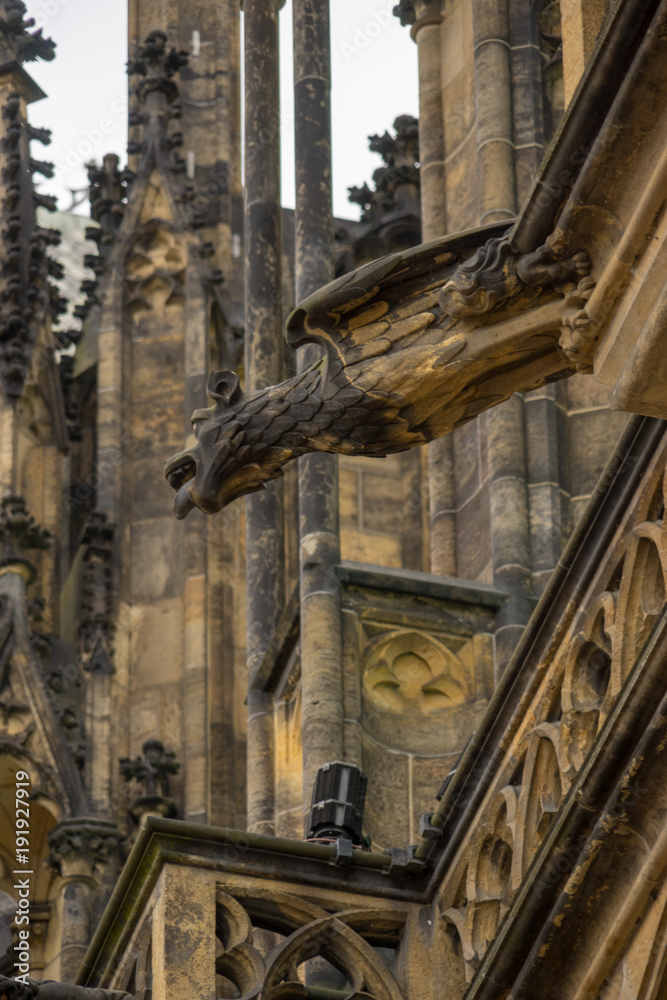 Naklejka premium Gargoyle of Prague Cathedral, Czech Republic