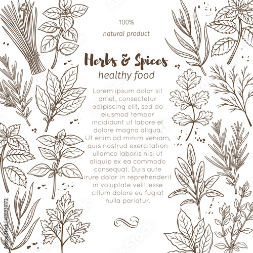sketch herbs and spices