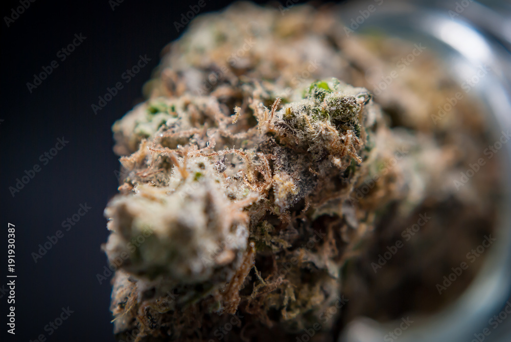 Cannabis Nug - Strain: GSG Cannabis Nug - Strain: GSG