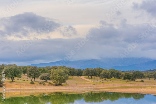 Paisaje pantano
