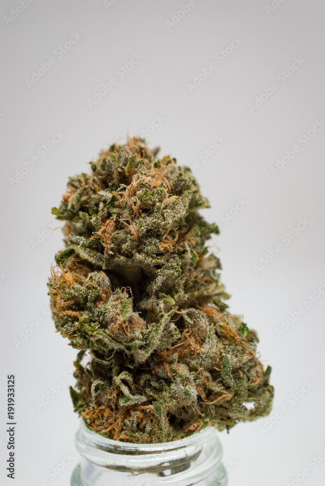Cannabis Nug - Strain: Blue Dream Cannabis Nug - Strain: Blue Dream