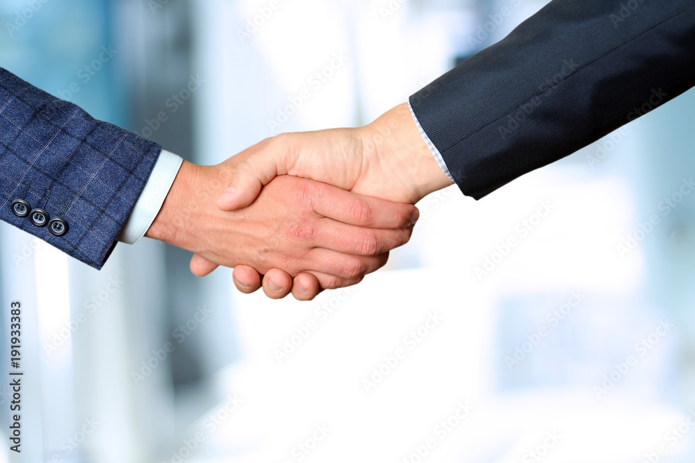 Successful business people shaking hands  at the meeting