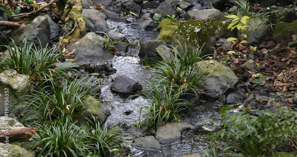 Pure fresh water waterfall in forest Pure fresh water waterfall in forest