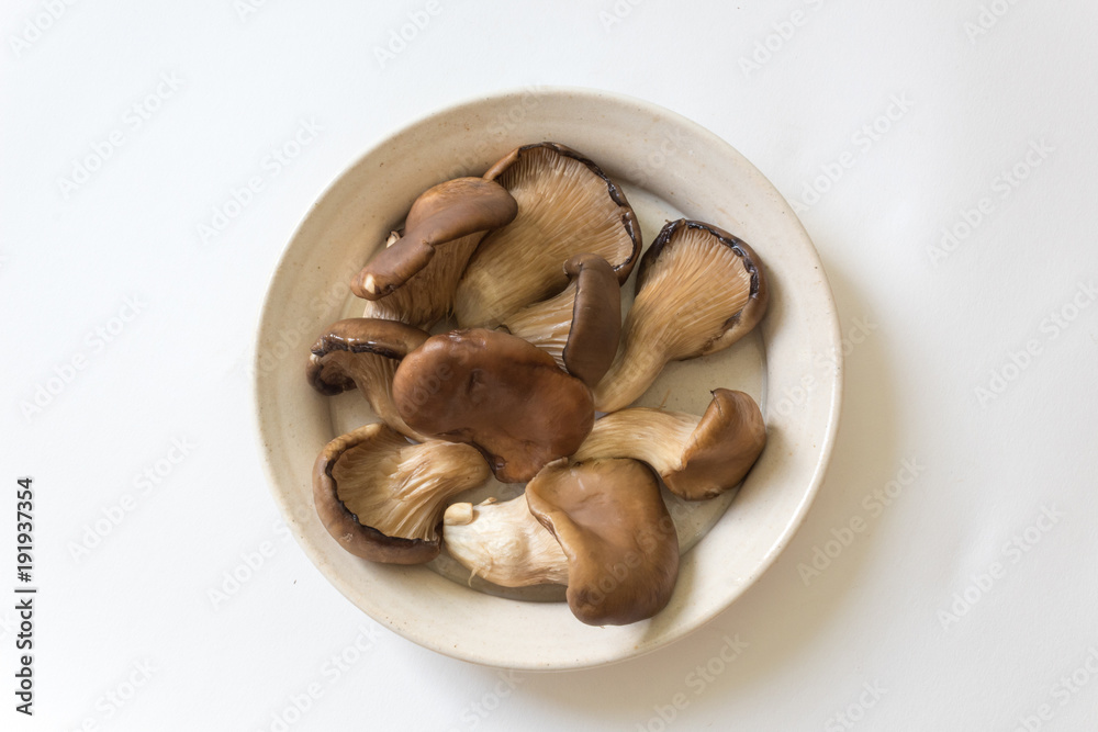 Small dish of Pleurotus ostreatus Oyster Mushrooms, food ingredient, isolated on white, centered, horizontal aspect
