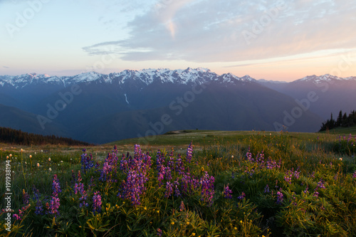 Olympic Peaks