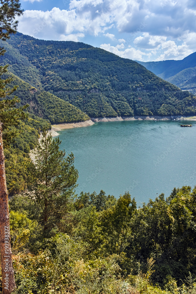 Obraz premium Green Forest around Vacha dam, Rhodopes Mountain, Plovdiv Region, Bulgaria