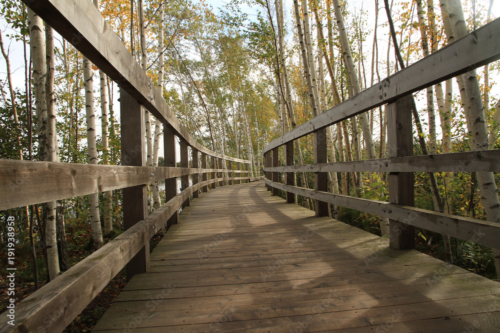 Boardwalk