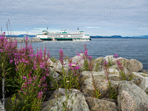 Ferry boat at the terminal in Sidney photo