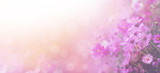 Violet color floral abstract background.