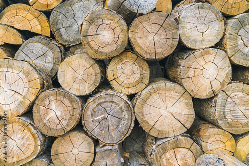 Pile of wood logs.
