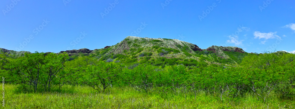 Fototapeta premium 南国の草原（パノラマ） 