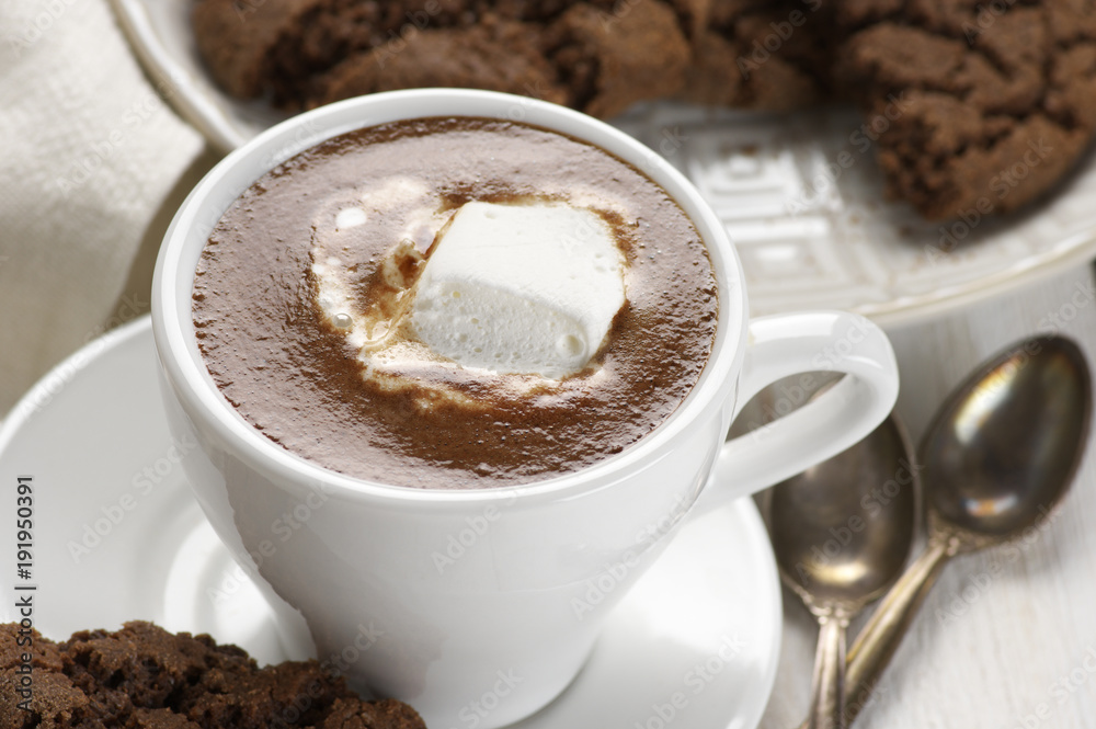 Hot chocolate and chocolate crinkle cookies Hot chocolate and chocolate crinkle cookies