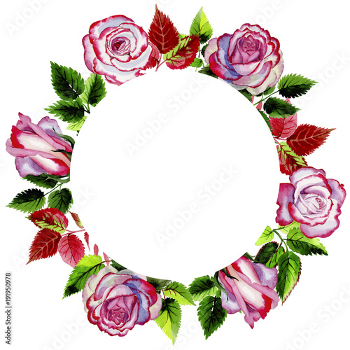 Leaves of rose wreath in a watercolor style. Aquarelle leaf for background, texture, wrapper pattern, frame or border.