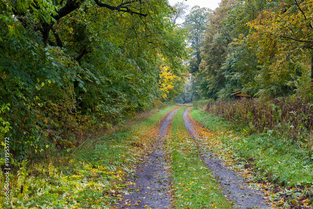 Naklejka premium Herbstimpressionen aus dem Selketal im Harz