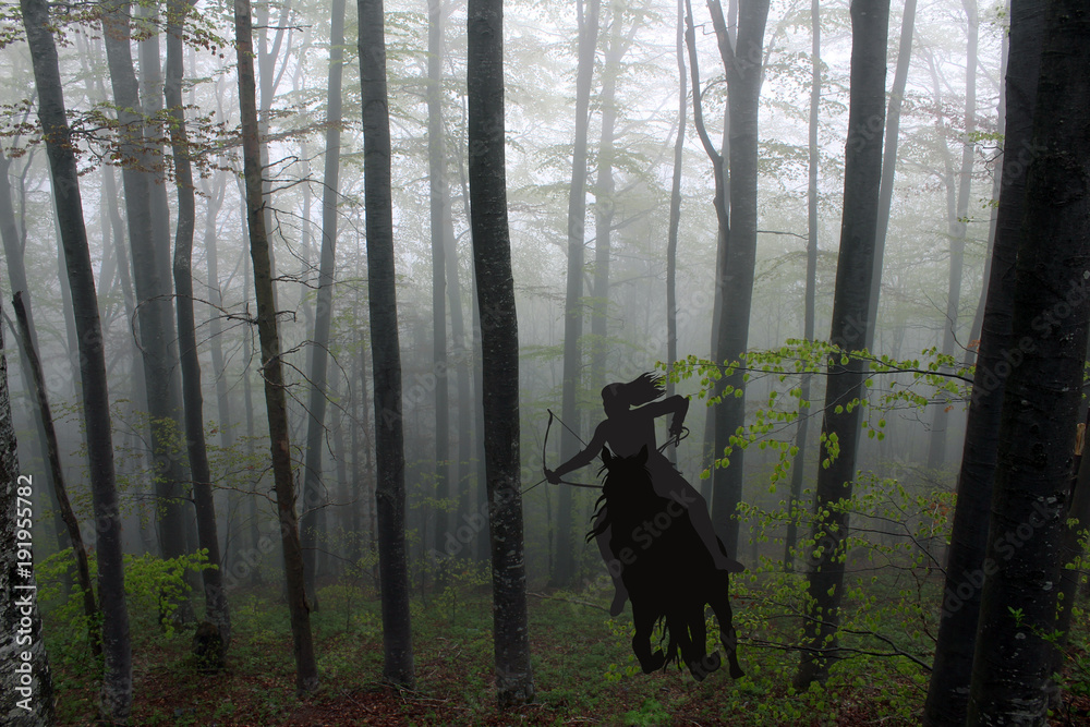 Silhouette of an amazon warrior woman riding a horse in forest Silhouette of an amazon warrior woman riding a horse in forest