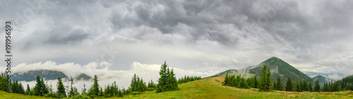 Panorama of the mountain glade in Carpathians in rainy weather