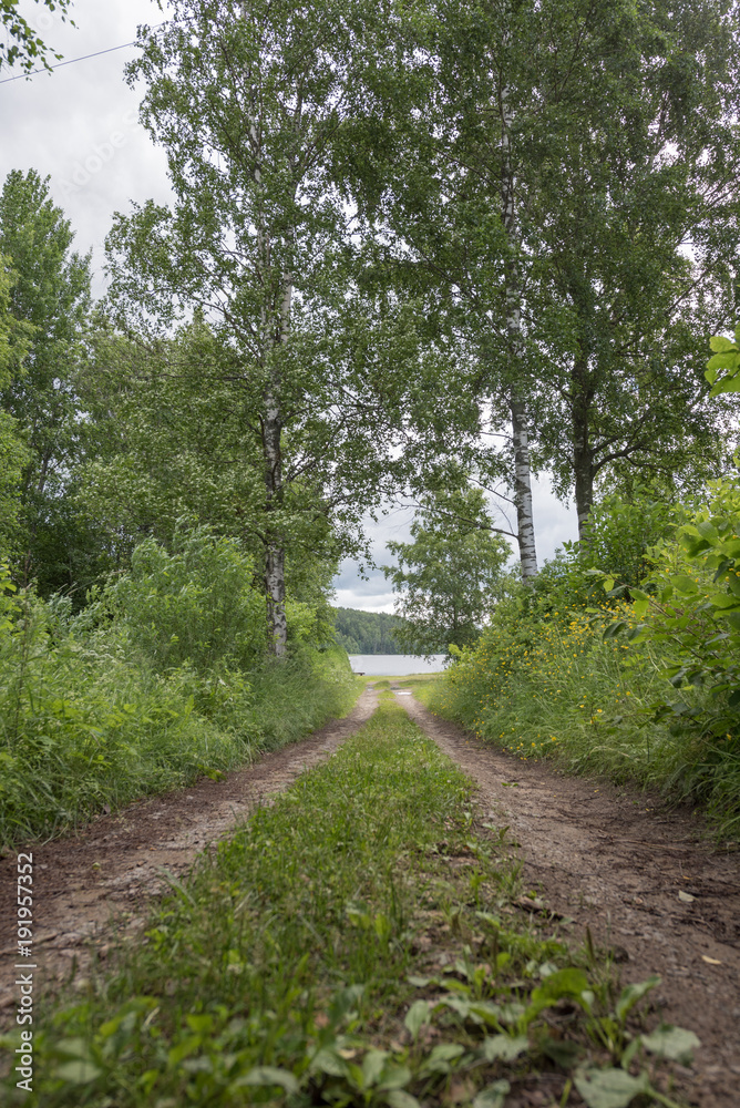 Old grassy path to lake