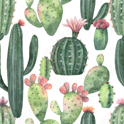 Watercolor vector seamless pattern of cacti and succulent plants isolated on white background.