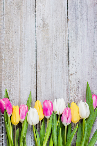 Fresh colorful tulips on a shabby wooden background for Mother's Day. Spring Easter Holiday Concept. Top view, copy space