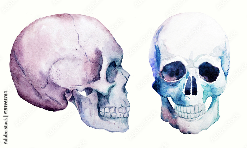 Obraz premium Watercolor skull set