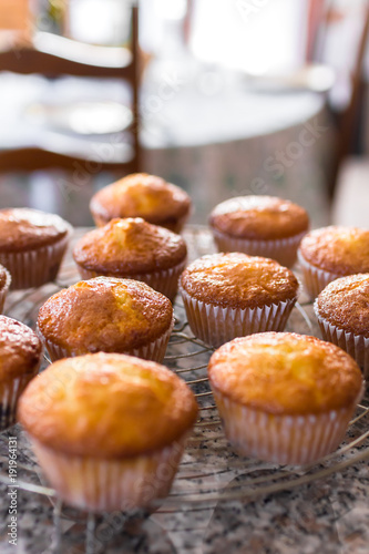 Batch of homemade freshly baked cupcakes or muffins