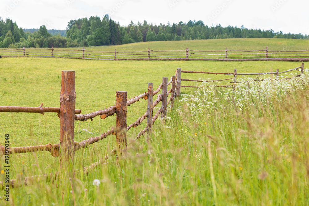 Fence from boards of logs on farm and  green grass  field in summer