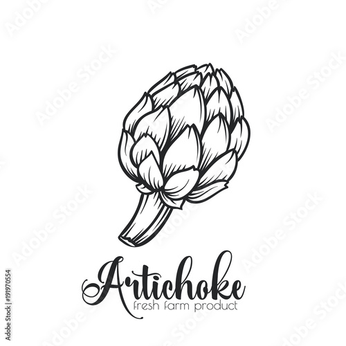 Hand drawn artichoke icon.