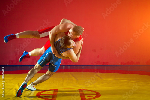 Photography Two young men in blue and red wrestling tights are wrestlng and making a suplex