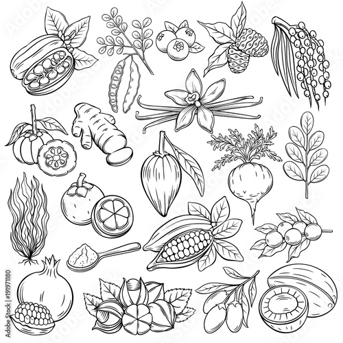 superfood icons