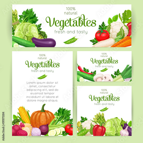 Vector vegetables