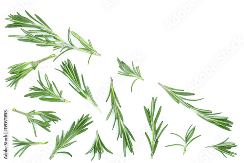 Fresh green rosemary isolated on a white background with copy space for your text. Top view. Flat lay © kolesnikovserg