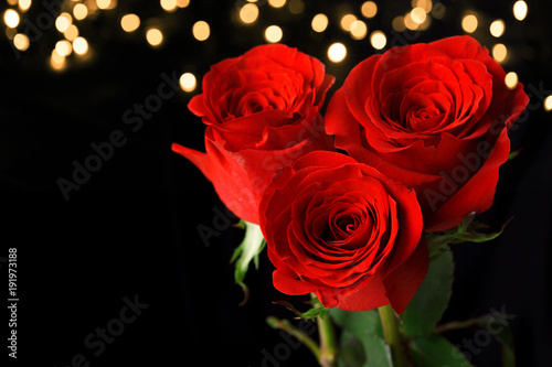 Three red roses on dark background