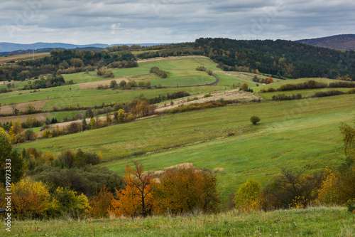 Autumn landscape with trees and meadow near Czaszyn village, Bieszczady, Poland