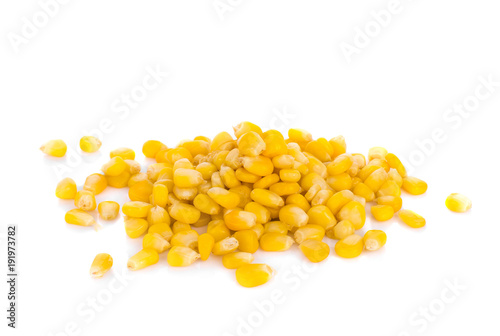 corn seed on white  background