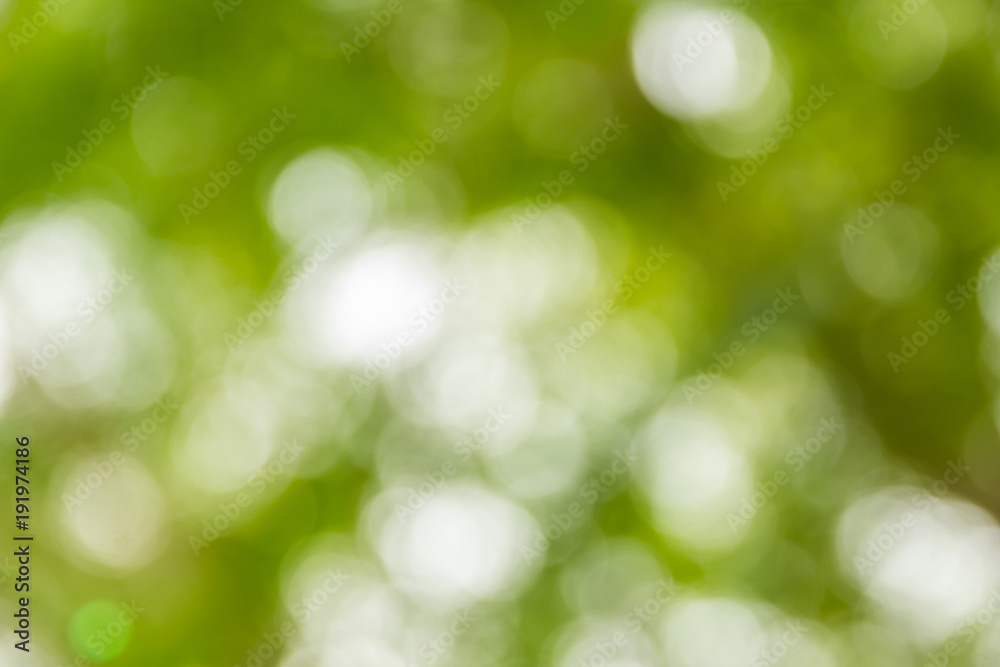 Obraz premium Abstract bokeh and blurred colorful nature background