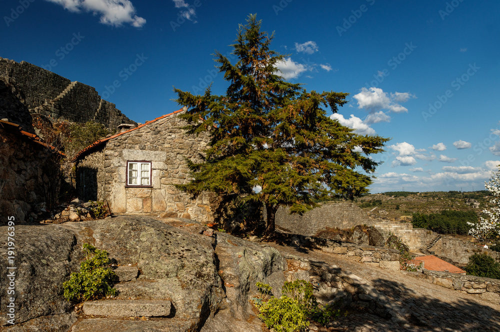 Old stone house with a tree in the historic village of Sortelha, Portugal, on a sunny day. - Casa antiga de pedra com uma árvore na aldeia histórica de Sortelha, em Portugal, num dia de sol.