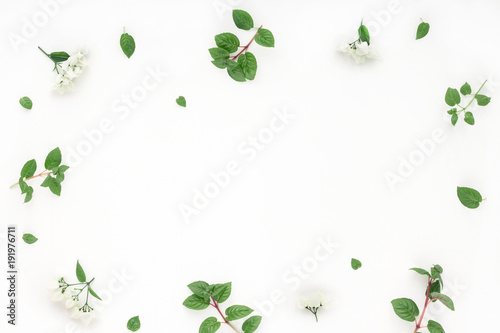 White flowers, green leaves on white background, flat lay, top view