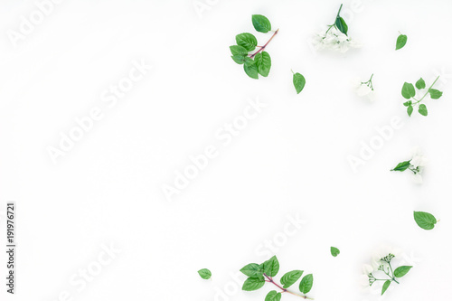 White flowers, green leaves on white background, flat lay, top view