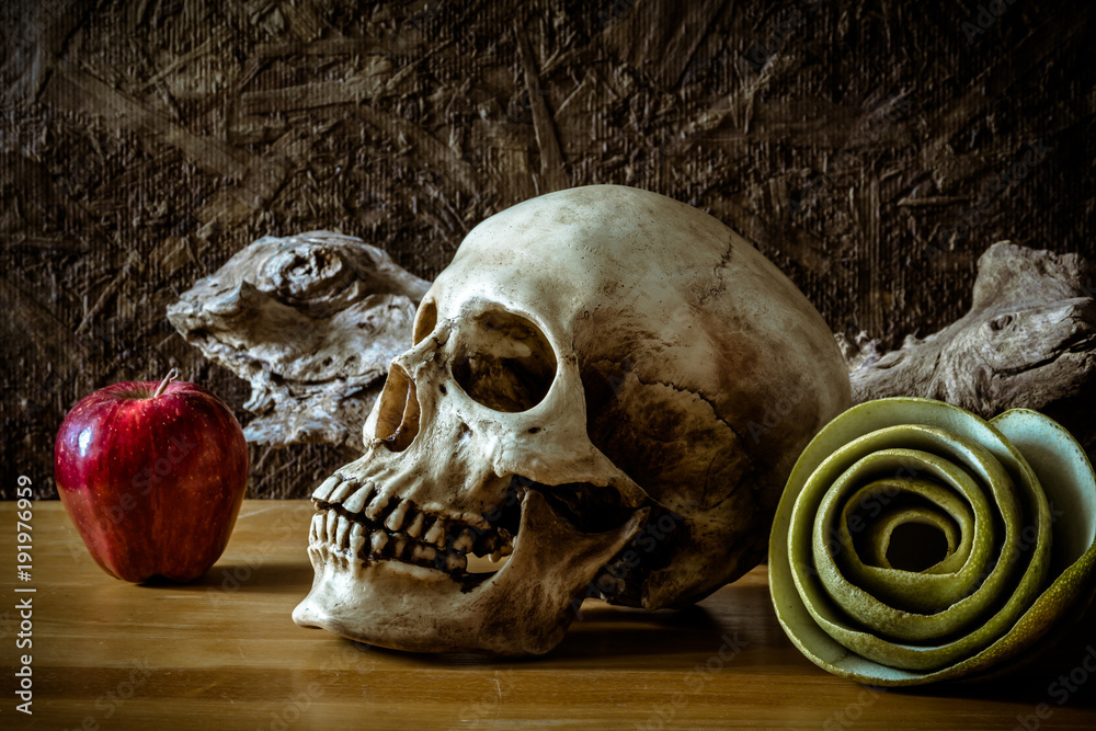 still life with skull and green apple still life with skull and green apple
