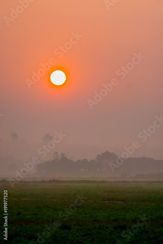 The view of the sunrise in the rice field in the morning or evening.