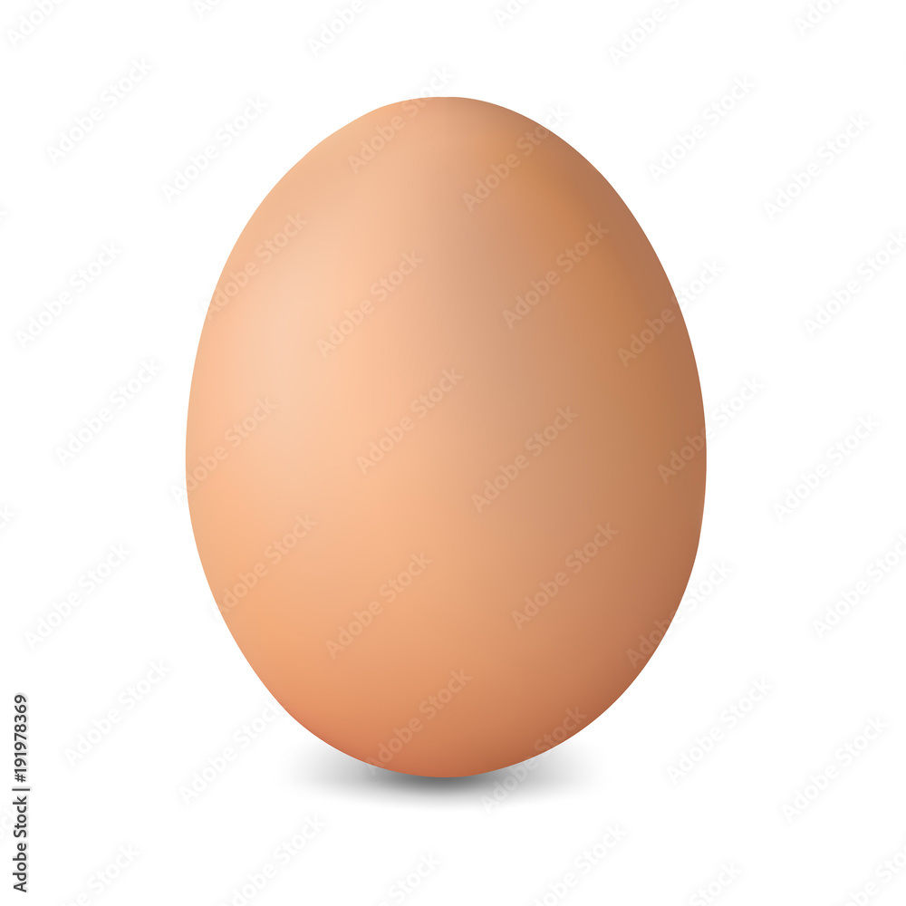 Fresh Egg Isolated Fresh Egg Isolated