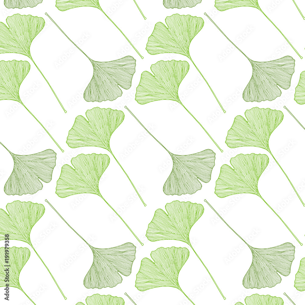 Obraz premium Spring pattern of hand drawn ginkgo leaves in a light green color palette on a white background. Vector illustration