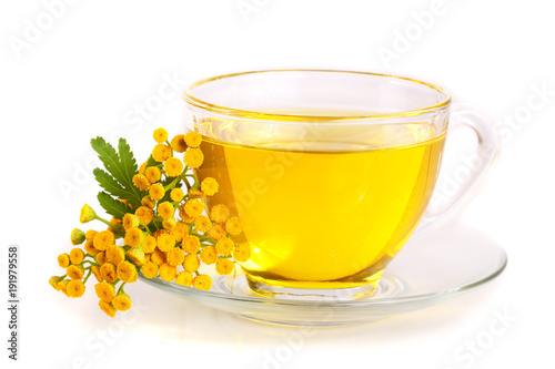 Quadro em tela tansy tea with flowers isolated on white background