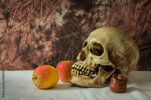 Still life with skull man with apples photo