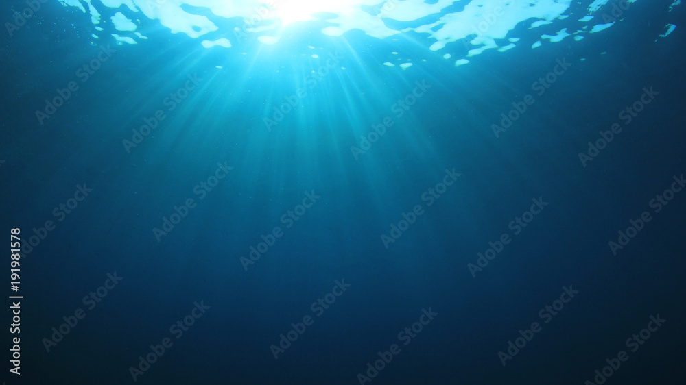 Underwater background in ocean 