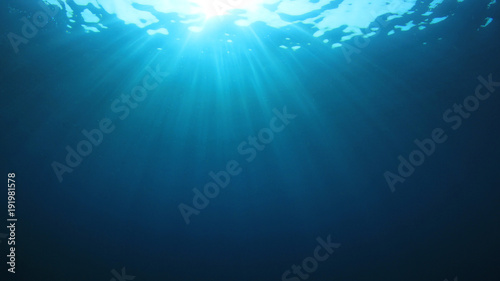 Underwater background in ocean  © Richard Carey