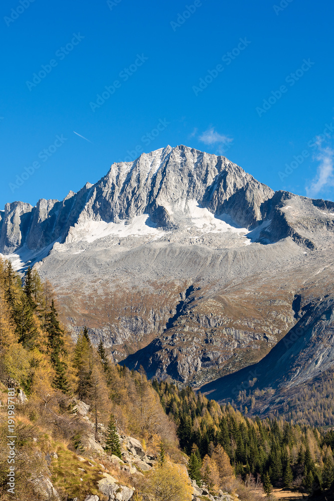 Peak of Care Alto - Adamello Trento Italy