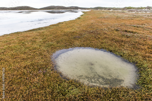 Salt Marshes on the Heuningnes River Estuary photo